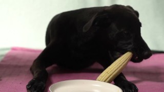 Italian Lesbian Filtered VIDEO of Bitch Swallowing IT ALL