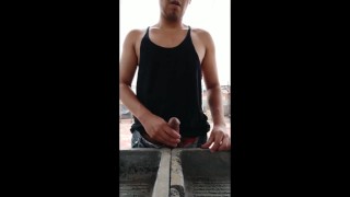 Jalandomela en la azotea del departamento