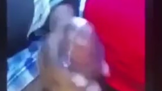 Quarantine Roadside cum shot