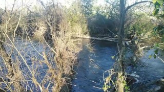River on the whood mansturbation 