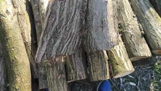Pov handjob on whood... I wish it to have an hole... 