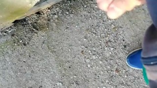 Pov handjob flower art