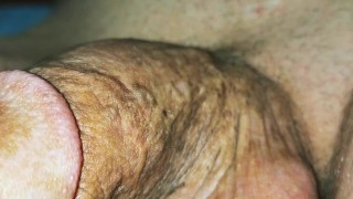 big cock erection super close up