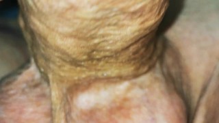 big cock erection super close up