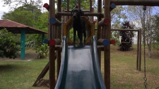 VIDEO DE ESTER DISFRUTA VER PERRA EN EL PARQUE