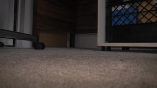 amaninheels | Giant Crossdresser | Unaware Jimmy Choo Romy 100s (teaser)