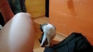 Estabamos follando duro y el gato nos a - Sentones duros