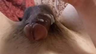 Puppy cum