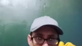 Shark dick