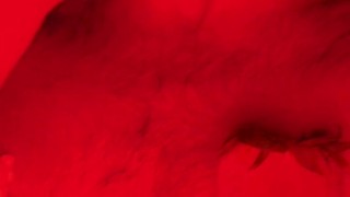 Sc Demon Kyle Butler Eats Strawberries