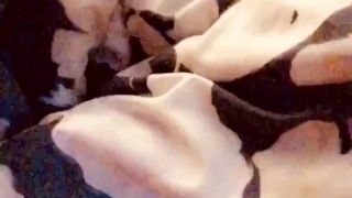 Playing with my pussy before bed pt 2