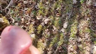Stoke and Cum in the wood