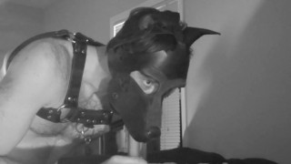 Sc puppy Kyle Butler fails attempt to smoke