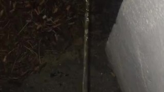 quick pee pee