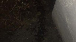 quick pee pee