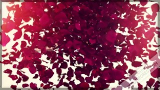 Magic Wand orgasm in Bed