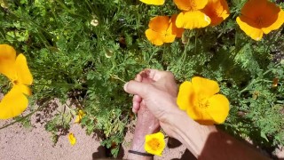 Stop to smell the flowers