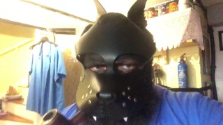waredawgy clip