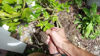 Jerking Off Nutrient for the Passion Fruit