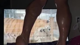 Tiger king & chill anyone? 