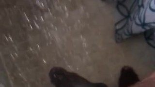 BIG BLACK FRESH COCK