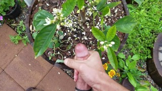 Break in the rain, jerk off nutrient for the Orange