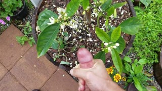 Break in the rain, jerk off nutrient for the Orange