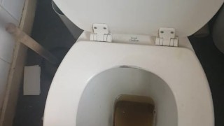 afternoon piss splashing the seat