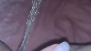Pissing on my comforter #1
