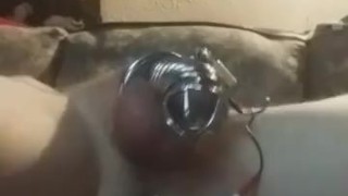 cock locked and ass shocked until im dripping and drooling