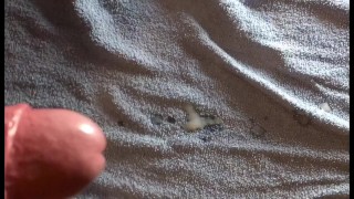 Slowmo-cum [work in progress]