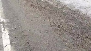 Jogging Pee break 