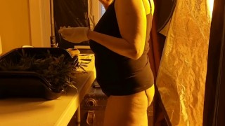 Harvest with me! Buds and butt