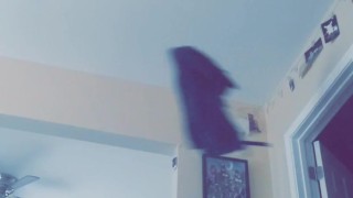 Sc Kyle Butler Towel Drop