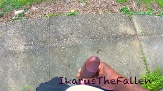 In the park again