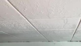 Having a hot steamy shower while wanking my wet cock with big cumshot 