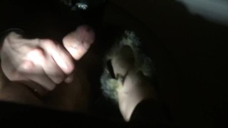 WOLF WANKING IN CELLS