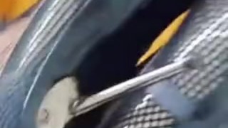Hot crossdresser streaming live wearing fishnets