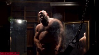 HYPER MASCULINE MUSCLE HAIRY BULL SMOKING HIS CIGAR IN FRONT OF THE SLING