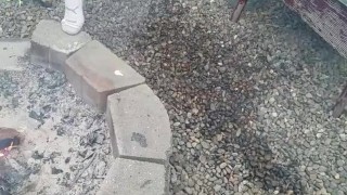Backwoodsmechanic filmed me pissing