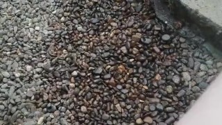 Backwoodsmechanic filmed me pissing again 