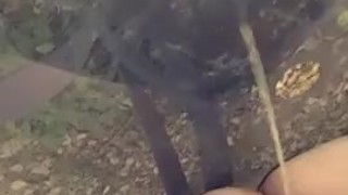 Cleaning my neighbors outdoor table with my pee