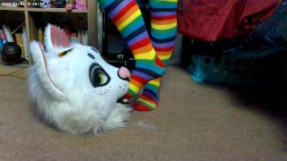 Nori gets to Taste My Rainbow Toes