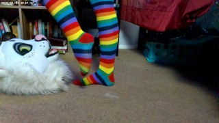 Nori gets to Taste My Rainbow Toes