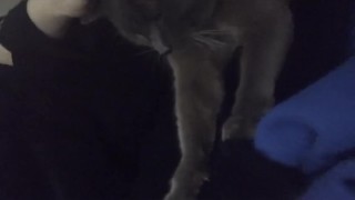 PUSSY STROKING CUMPILATION