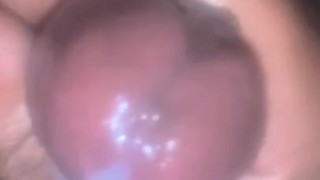 Cumming