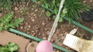 Having fun with his dick while he pees (backwoodsmechanic)