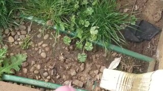 Having fun with his dick while he pees (backwoodsmechanic)