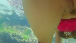 ANAL among Corals # Underwater Close Up SEX # Replace PLUG with DICK