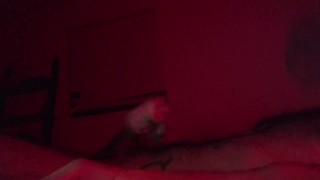 Quick Nut Before Bed